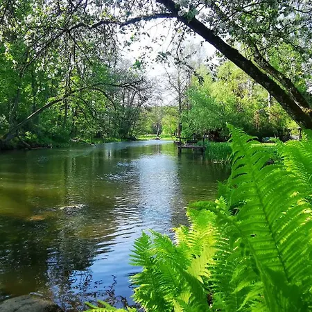 Kraina Alkos - Adults Only * Iznota