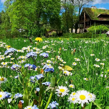 Kraina Alkos - Adults Only *