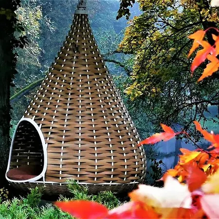 Kraina Alkos - Adults Only *