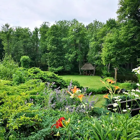 Kraina Alkos - Adults Only *