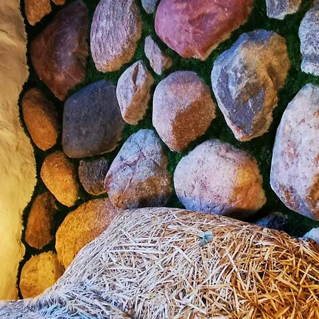 Kraina Alkos - Adults Only Iznota