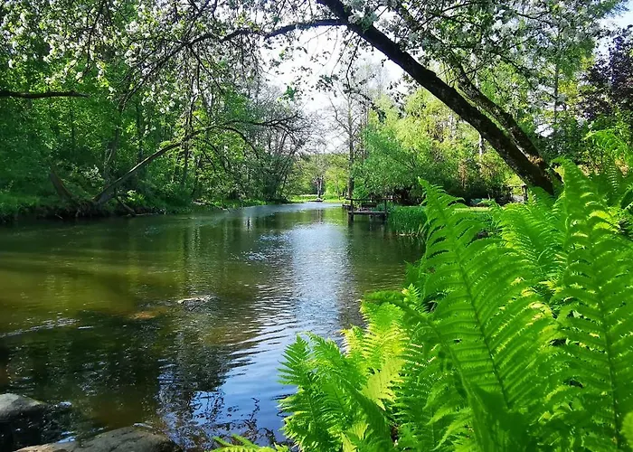 Kraina Alkos - Adults Only * Iznota