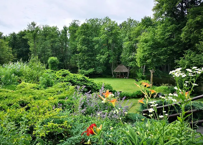 Kraina Alkos - Adults Only *