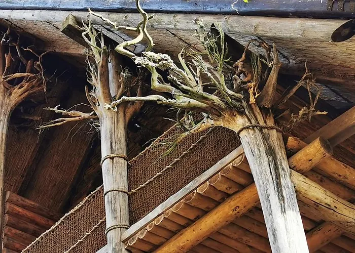 Holiday park Kraina Alkos - Adults Only *