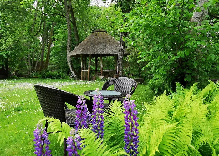 Kraina Alkos - Adults Only